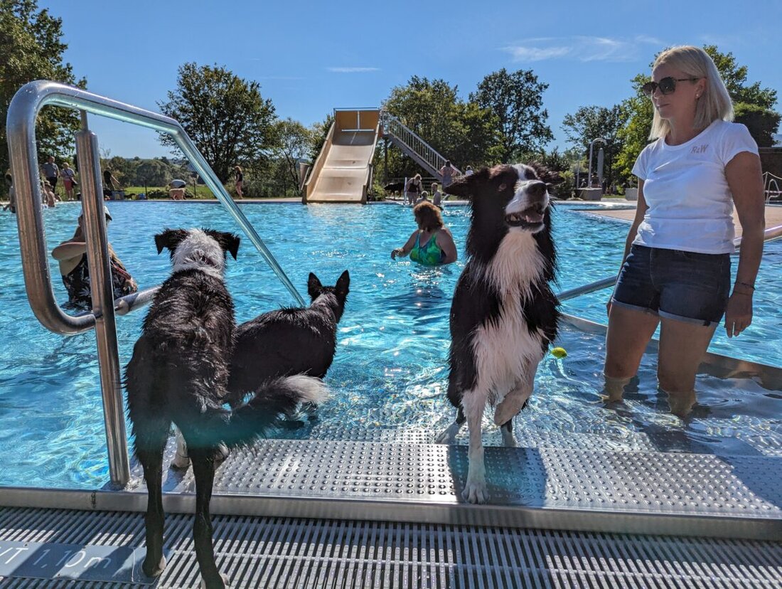 Nittenau. Am 15. September 2025 findet von 16.00 bis 19.00 Uhr das zweite Hundeschwimmen im Freizeit- und Erholungsbad statt. Der Eintritt kostet pro Hund 2,50 Euro, für Menschen ist er frei.