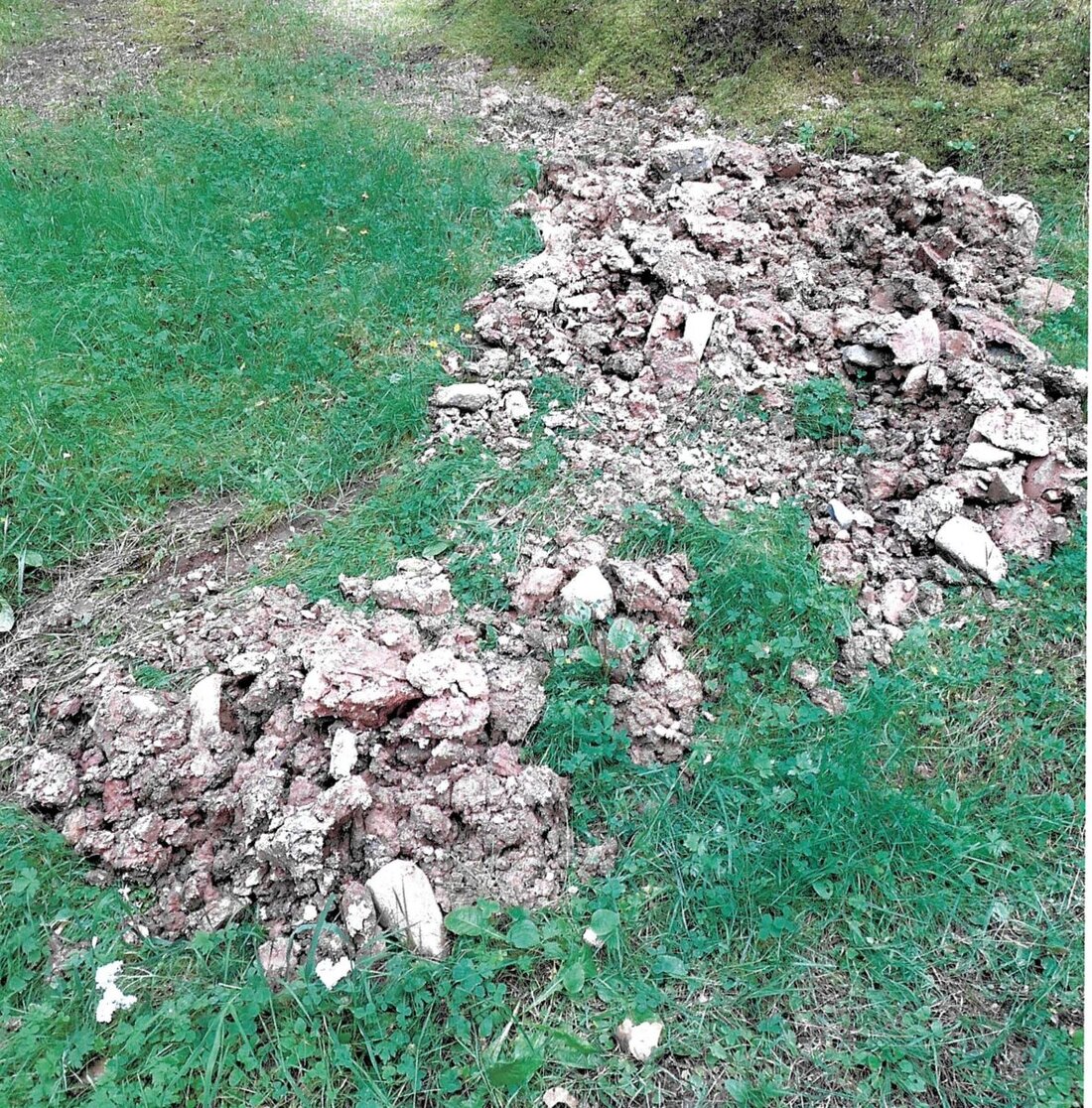 Mantel. Illegale Bauschuttablagerungen wurden im Manteler Forst von Jägern entdeckt, ein 60-jähriger Mann wurde dank Wildkamera-Aufnahmen ermittelt.