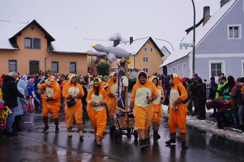 Waldthurner Gänsemarsch: Gänse flattern wieder – und das „Gschnoder“ kennt keine Grenzen