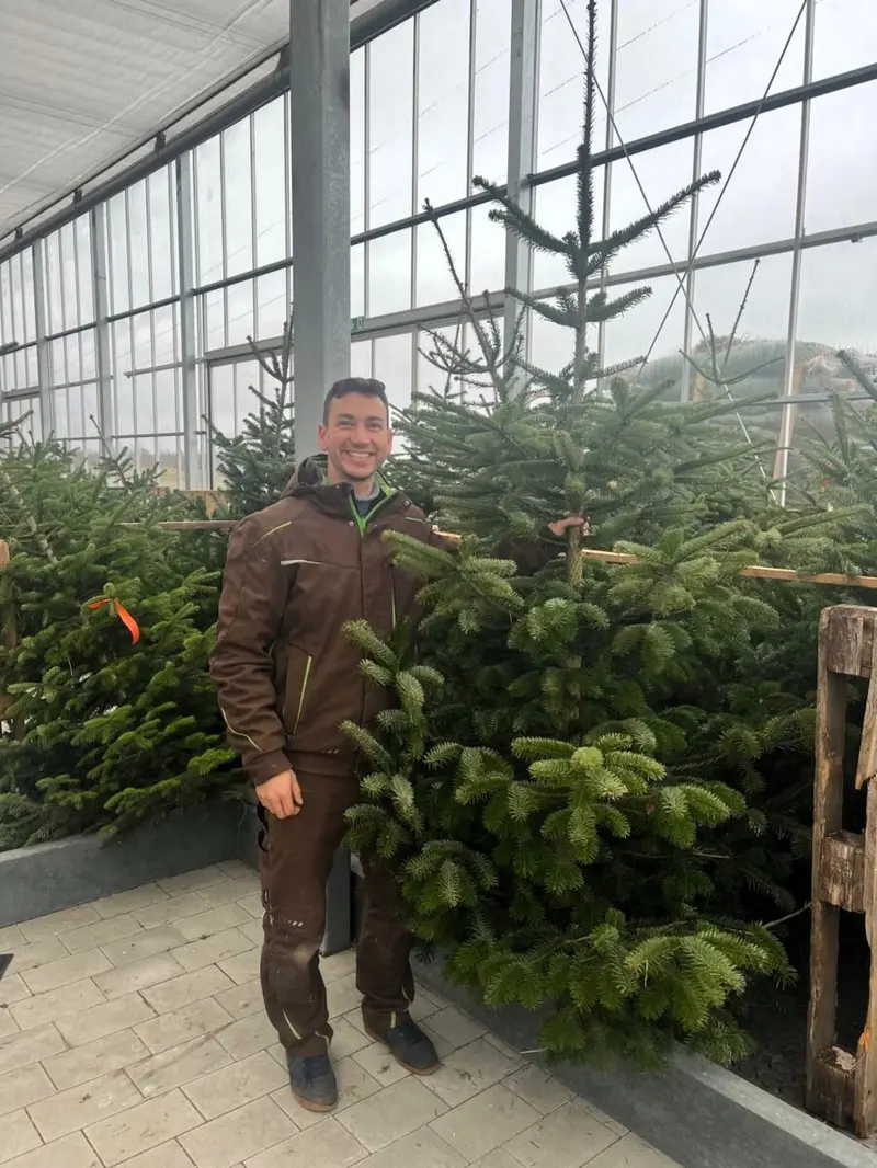 Weihnachtszauber inklusive Preis-Nachlass in der Gärtnerei Ziereis