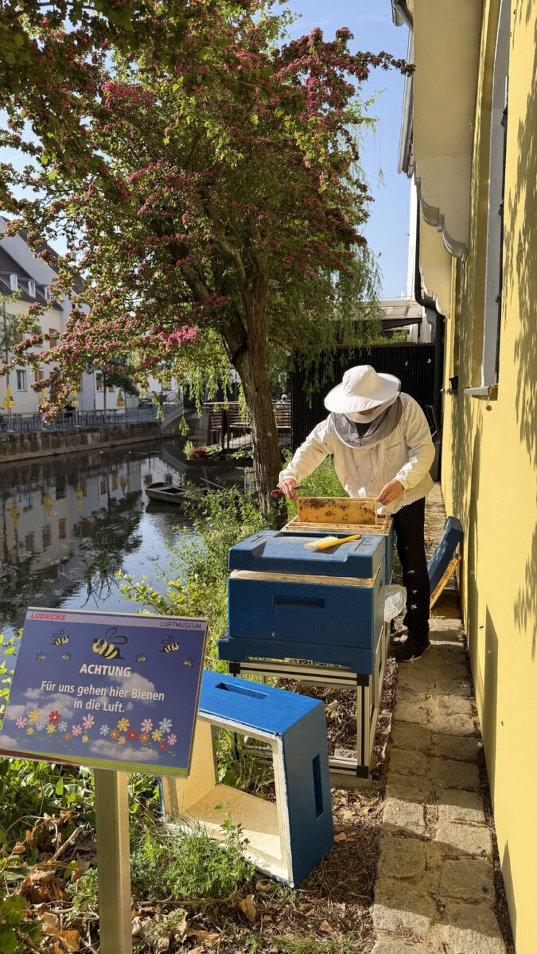 Amberg. Die Bienenstöcke bei Lüdecke und am Luftmuseum in Amberg liefern eine starke Ernte und zeigen, wie gut Biodiversität hier funktioniert. Rund 20 Bienenstöcke mit je 50.000 Bienen sorgten bereits für etwa 500 Kilogramm Honig.