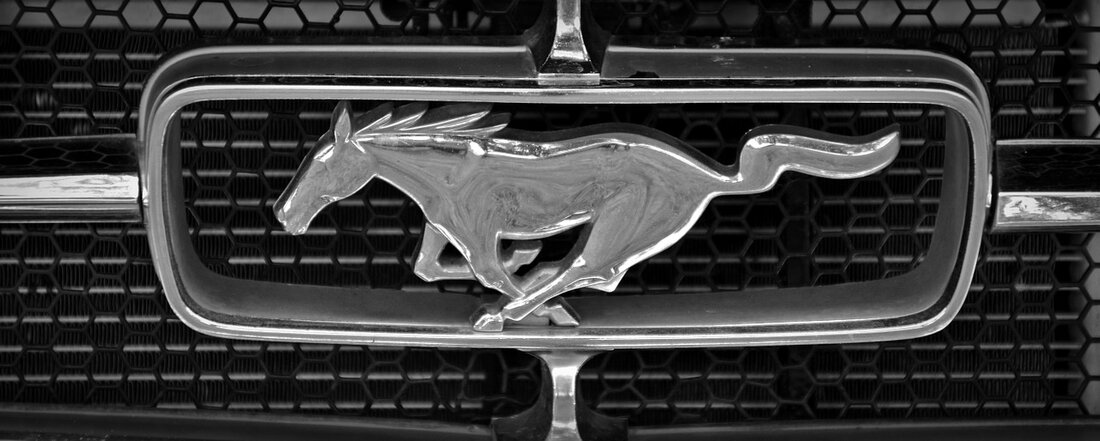 Weiden. Eine Auto-Alarmanlage sorgte in der Nacht von Samstag auf Sonntag für viel Aufsehen in Weiden. Letztendlich musste das Auto dann abgeschleppt werden.  In der Dr.-Seeling-Straße war ein Ford Mustang [&hellip;]
