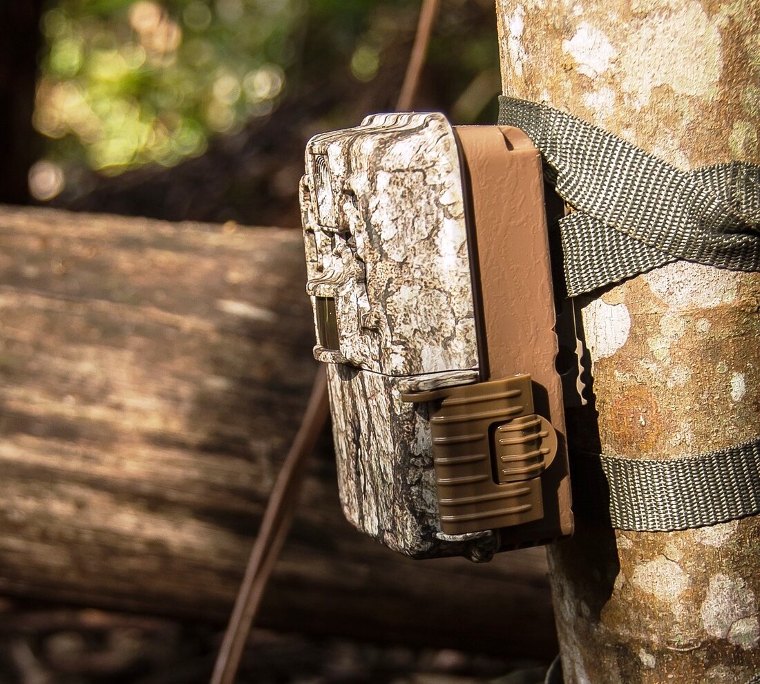 Walbenreuth/Hohenthan. Gestohlene Wildkameras, ein demolierter Rechen und ein flüchtiger Lkw-Fahrer, der Schaden hinterlassen hat: Die Polizei Tirschenreuth sucht Zeugen.  Im Zeitraum von Montag, ab 20 Uhr bis Dienstag, 7.00 Uhr, [&hellip;]