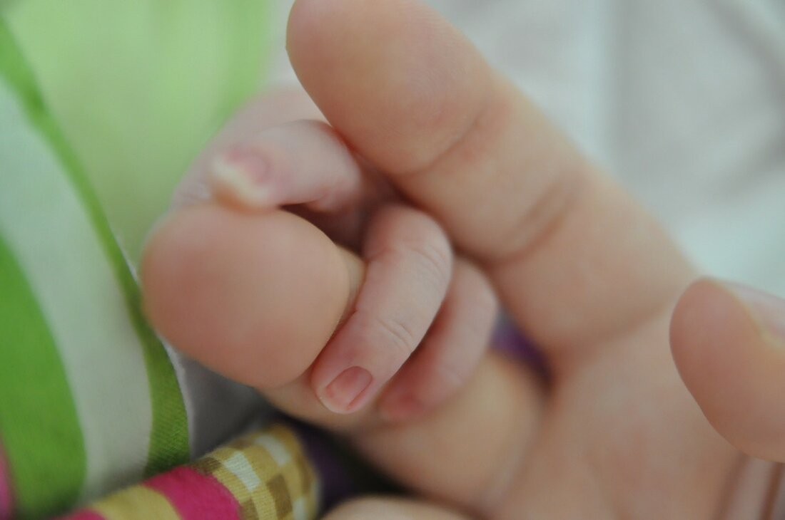 Weiden/Neustadt/WN/Tirschenreuth. Nach neun Monaten Wartezeit ist es endlich soweit: Die Mamas und Papas sind jetzt frischgebackene Eltern und können ihre Babys in den Armen halten. Herzlich Willkommen ihr Süßen! Die Sprösslinge [&hellip;]