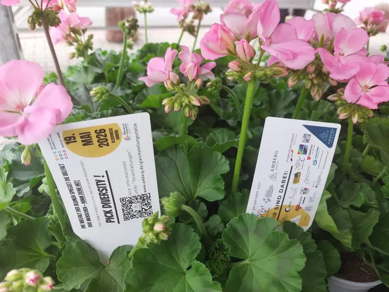 "Pick Diversity" bringt über 200 Blumen nach Amberg und Sulzbach-Rosenberg