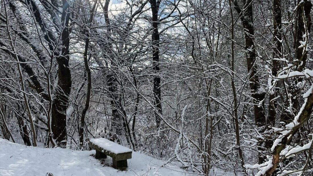 Weiden/Amberg. Wintereinbruch in der nördlichen Oberpfalz: Schnee und Glätte führten am Freitagmorgen zu einzelnen Unfällen und Stürzen. Insgesamt blieb die Lage für Rettungsdienst und Feuerwehr jedoch ruhig. Alle Details zur Einsatzbilanz der Integrierten Leitstelle Oberpfalz-Nord.