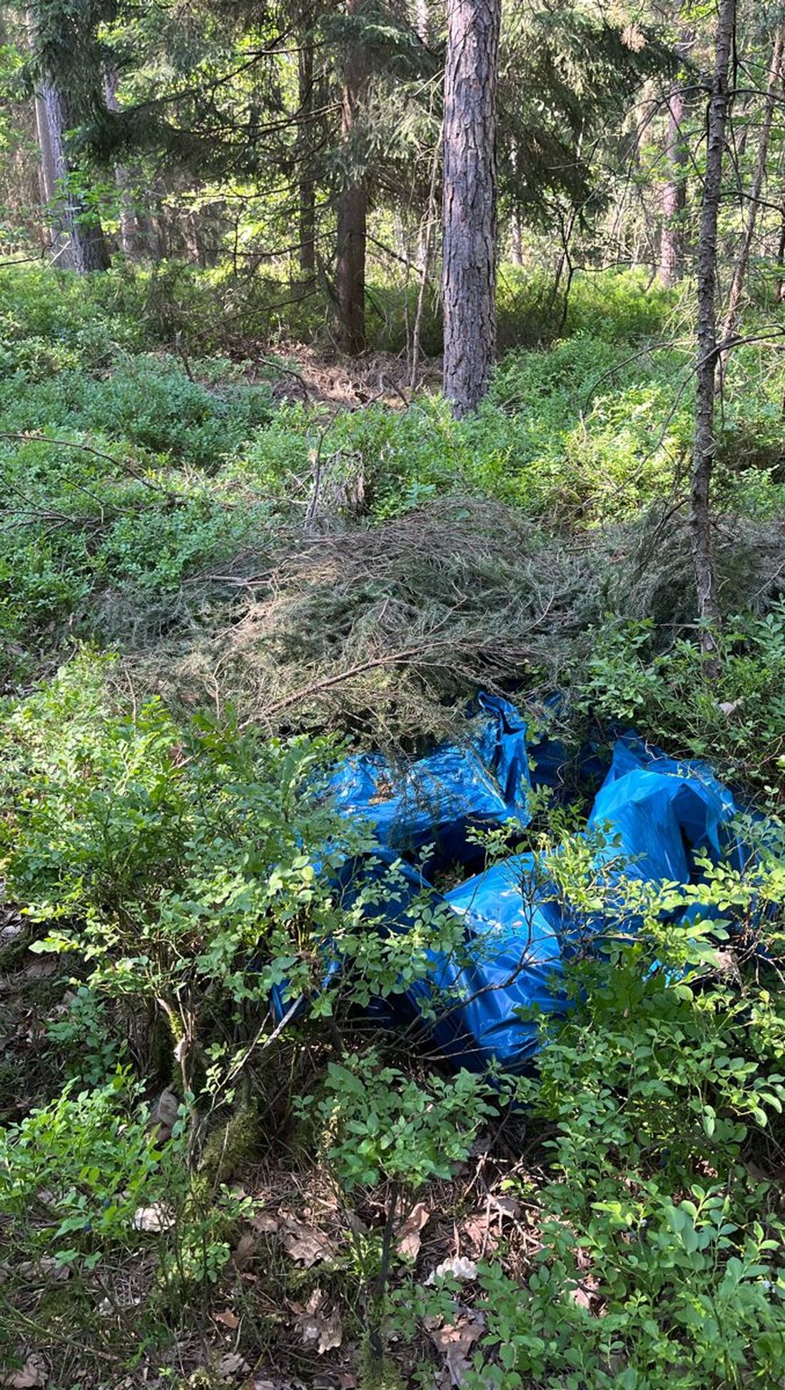 Nittenau. Die Polizei hat im Wald bei Nittenau einen Verdächtigen festgenommen. Es wurde hochwertiges Diebesgut gefunden. Die Kriminalpolizei ermittelt wegen Aufbrüchen an Baucontainern. Die Fahndung nach zwei weiteren Personen läuft mit Hubschrauber.