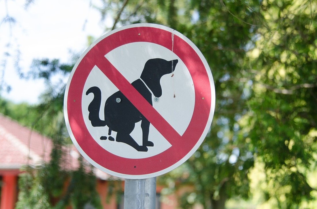 Weiden. So süß die lieben Vierbeiner auch sind – die Hinterlassenschaften von Hunden an Straßen, Wegen, Grün und Plätzen sorgen immer wieder für Diskussionen. Auch bei der Stadt Weiden gehen [&hellip;]