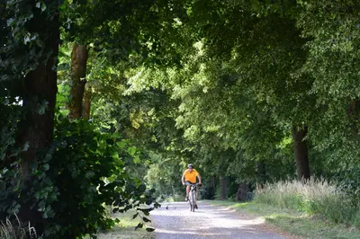 Radtour Via Carolina verbindet Natur und Kultur