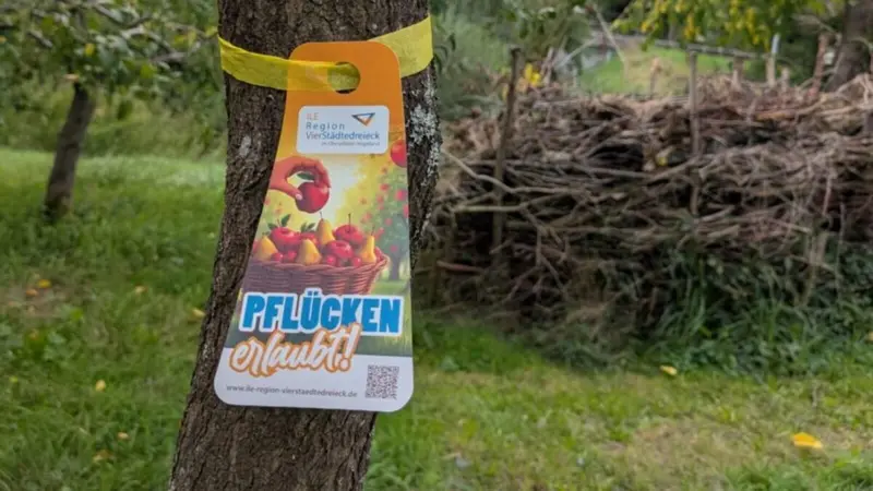 Zehn Kommunen, ein gemeinsames Zeichen: Gelbe Bänder weisen den Weg zum Obst