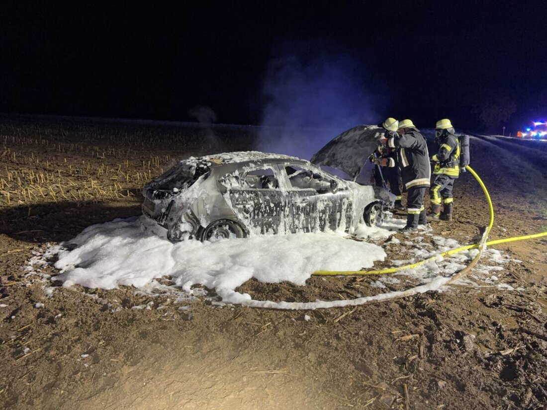 Birgland. Zwei alkoholbedingte Verkehrsunfälle bei Birgland und Hahnbach endeten mit Totalschäden von 11.000 Euro und 12.000 Euro, ein Auto überschlug sich, ein anderes brannte, zwei Personen wurden leicht verletzt.