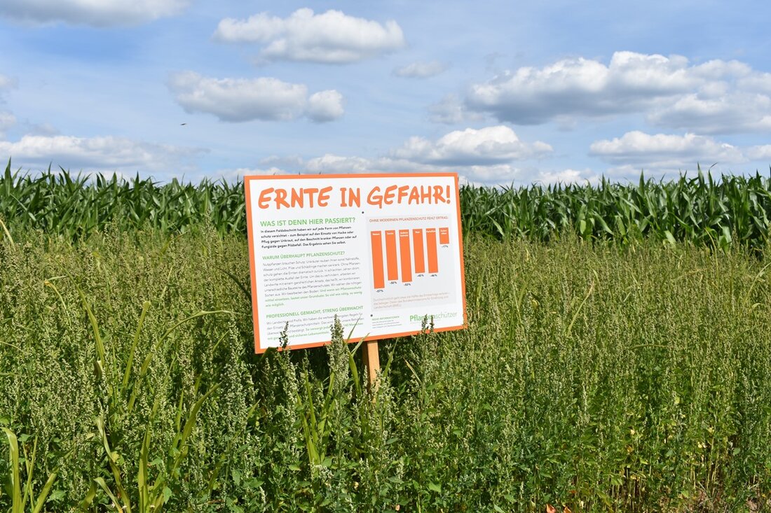 Grafenwöhr. “Ernte in Gefahr!” – Die Landwirte schreien mit diesem Slogan um Hilfe, denn ohne modernen Pflanzenschutz geht etwa die Hälfte des Ernteertrages verloren. Von Renate Gradl Direkt vor Augen [&hellip;]