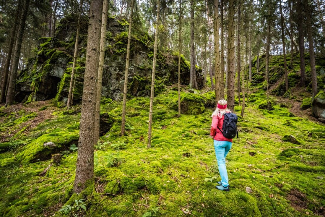 Tirschenreuth. Vom 13. bis 16. Mai 2027 lädt der BR zum Mitwandern im Oberpfälzer Wald: vier Tage, vier Orte – Windischeschenbach/Neuhaus, Murner See, Weiden und Friedenfels – zwischen Zoigl-Kultur, Seenland und Steinwald-Felsen.
