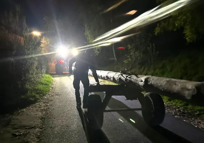 Ein Rekord für die Ewigkeit? Junge Leute klauen acht Maibäume in der Region