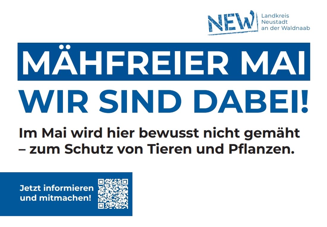 Neustadt/WN. Der Landkreis wirbt für den mähfreien Mai: Rasen im Mai wachsen lassen, damit Wildblumen blühen, Insekten Nahrung finden und das Mikroklima profitiert. Mitmachen spart Arbeit, senkt Lärm und stärkt die Artenvielfalt.