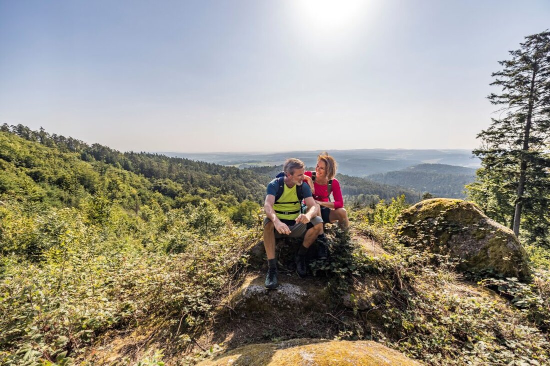 Oberpfälzer Seenland. Vom 13. September bis 18. Oktober 2026 laden die Oberpfälzer Seenland Wanderwochen zu acht kostenfreien Touren ein. Anmeldungen sind ab Samstag, 22. August 2026 ab 8 Uhr online möglich.