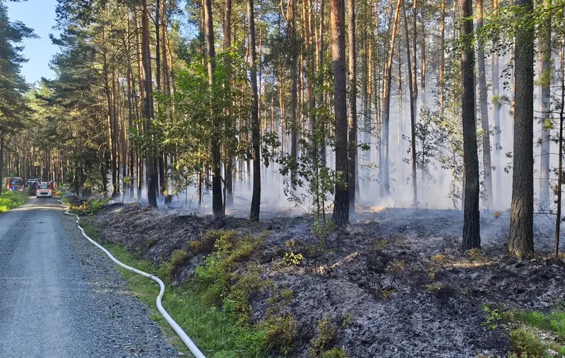 Waldbrand im Manteler Forst fordert Großaufgebot an Einsatzkräften