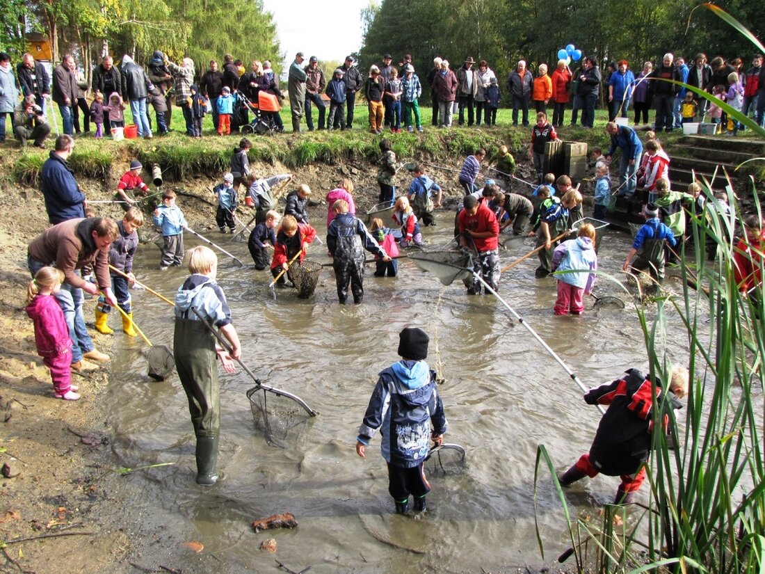 Reuth bei Erbendorf. Vor gut zwei Wochen hatten sie noch gut lachen, die Jugendwarte des Angelsportvereins (ASV) Reuth. Sie freuten sich über ein gelungenes Schnupperangeln, zu dem sie Kinder als Teil [&hellip;]