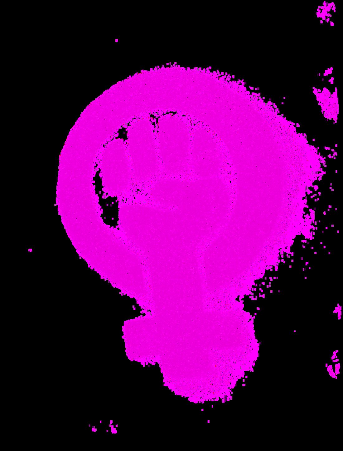 Amberg-Sulzbach. Zum Weltfrauentag organisiert die vhs Amberg-Sulzbach Vorträge, Kurse und eine Ausstellung über Frauen im geteilten Deutschland und andere Themen.