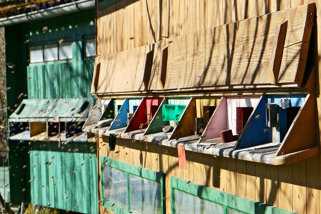 Windischeschenbach. Das Bienenhaus im Waldgebiet “Lämmerholz” brannte am Samstag komplett ab. Ein Windischeschenbacher (84) war am Samstag gegen Mittag zu seinen 17 Bienenvölkern gefahren, um diese zu versorgen. Als dieser [&hellip;]