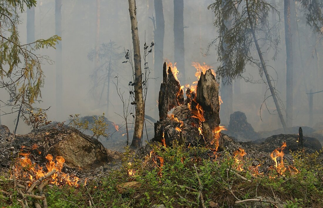 Friedenfels. Ein kleiner Waldbrand beschäftigte am Samstag Polizei und Feuerwehr.  Am Samstag gegen 17.00 Uhr, wurden Polizei und Feuerwehr alarmiert, weil in der Nähe von Friedenfels ein kleines Waldstück in [&hellip;]