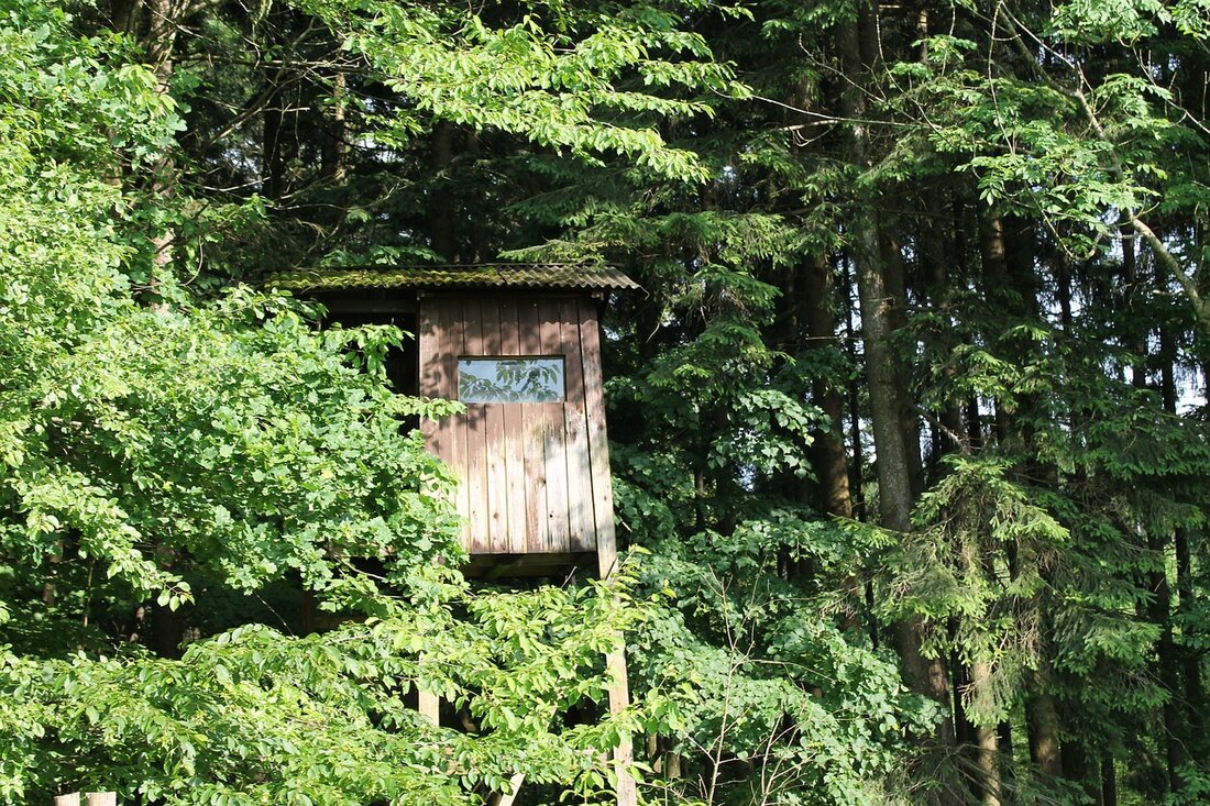 Tännesberg/Kleinschwand. Zwischen fünften un siebten April wurden mehrere Jägersitze in Kleinschwand mutwillig zerstört und umgeworfen.  Der zuständige Jagdpächter in der Gemarkung Kleinschwand bemerkte, dass in seinem Revier insgesamt drei Jägerstände [&hellip;]