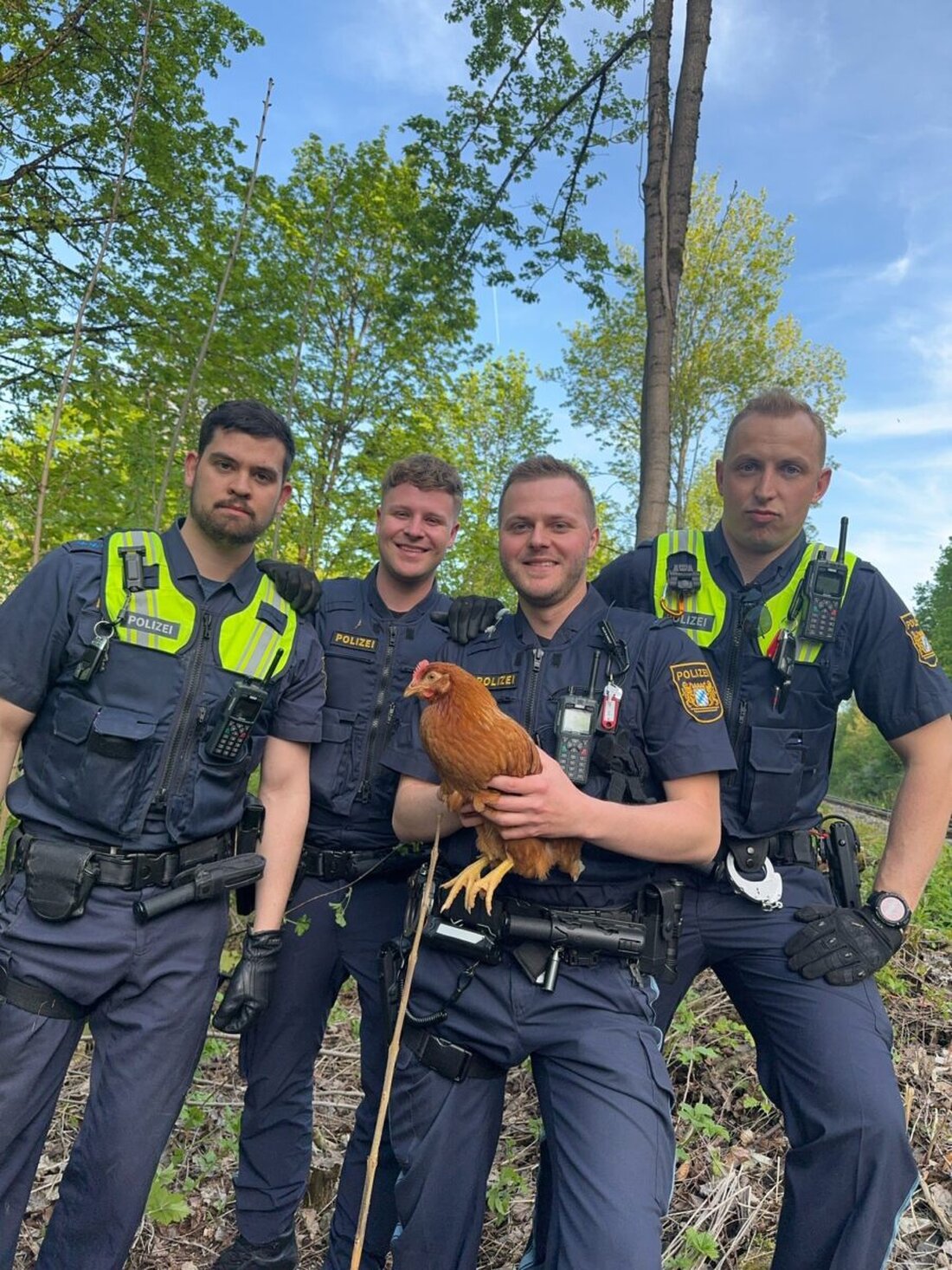 Sulzbach-Rosenberg. Am Sonntagabend gegen 18 Uhr, wurden vier Polizeibeamte der Polizeiinspektion Sulzbach-Rosenberg zu einem ungewöhnlichen Einsatz gerufen. Ein Huhn wurde in der Nähe der Rosenbachstraße, direkt neben den Bahngleisen, gesichtet und sorgte für Besorgnis bei einem Passanten. 