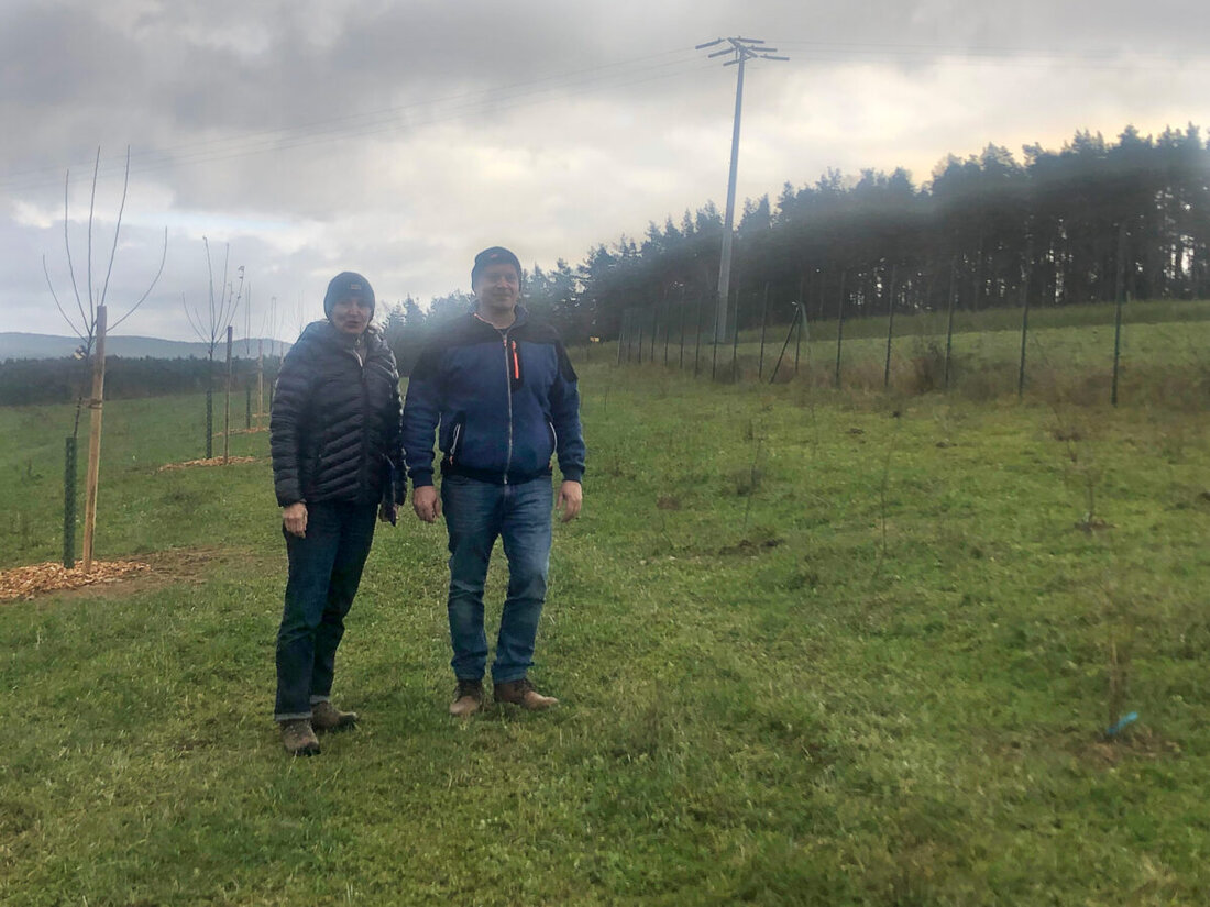 Krandorf. Bio-Landwirte haben zur Förderung der Artenvielfalt Hecken und eine Streuobstwiese angelegt, unterstützt durch bayerische Förderprogramme. Die Maßnahmen verbessern den Lebensraum für Nutztiere sowie heimische Flora und Fauna.