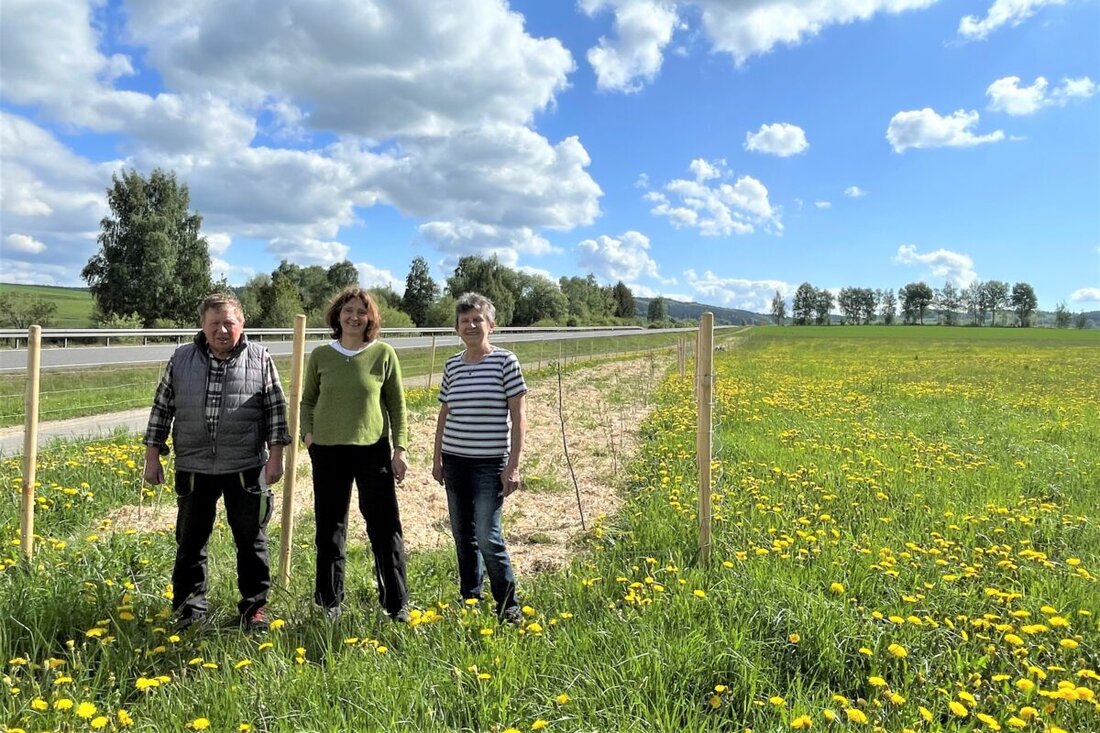 Bärnau. Landwirte haben in Bärnau durch Anlegen von Hecken und Landschaftselementen die Artenvielfalt gefördert, finanziell unterstützt durch das Bayerische Kulturlandschaftsprogramm. Die Maßnahme, mit einem Gesamtinvestitionsvolumen von rund 5.000 Euro, verbessert den Lebensraum für viele Arten.