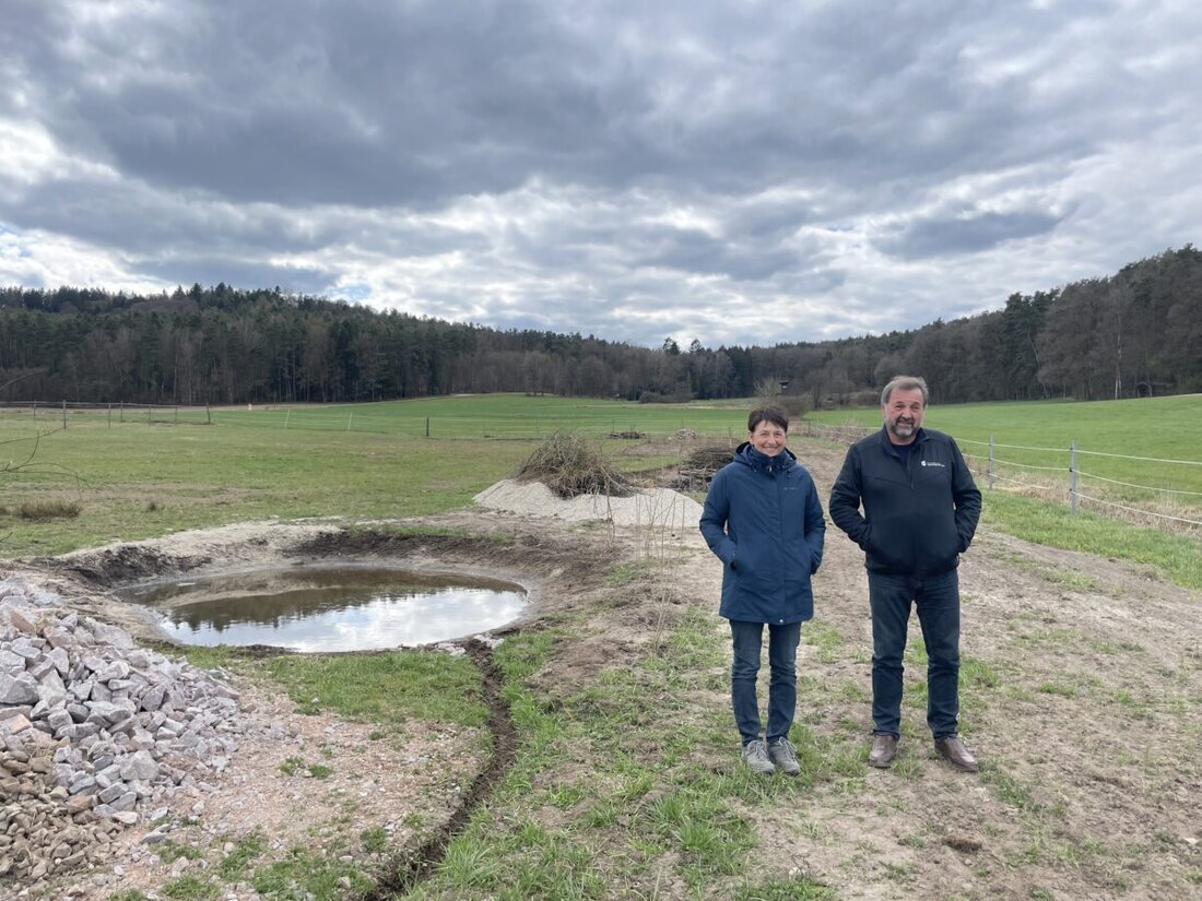 Iffelsdorf. Landwirtin Renate Dietl hat in Iffelsdorf eine vielfältige ökologische Landschaftsstruktur geschaffen, die Artenvielfalt fördert. Ihre Maßnahme wurde durch das Bayerische Kulturlandschaftsprogramm gefördert und stellt eine vorbildliche Kombination aus landwirtschaftlicher Nutzung und ökologischem Wert dar.
