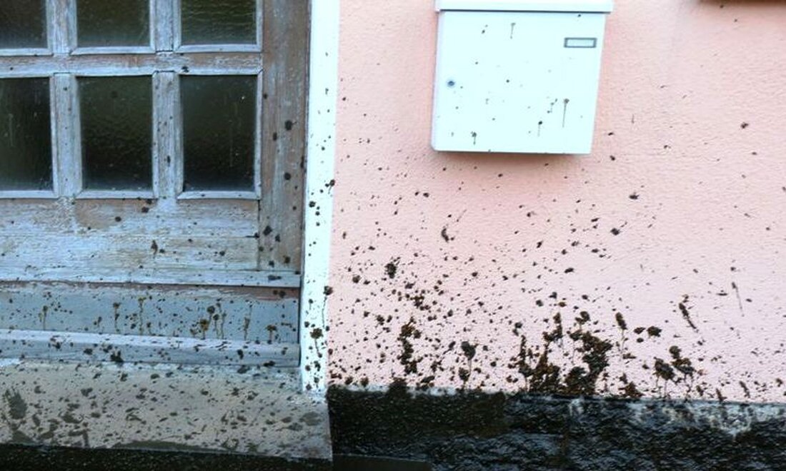 Pfrentsch/Waidhaus. Eine Hausfassade in Pfrentsch bei Waidhaus, die mit Gülle/Jauche verschmutzt ist, ruft die Polizei auf den Plan. Die Ermittler suchen jetzt nämlich den Verursacher der “Sauerei”.  Laut Polizeiangaben war [&hellip;]