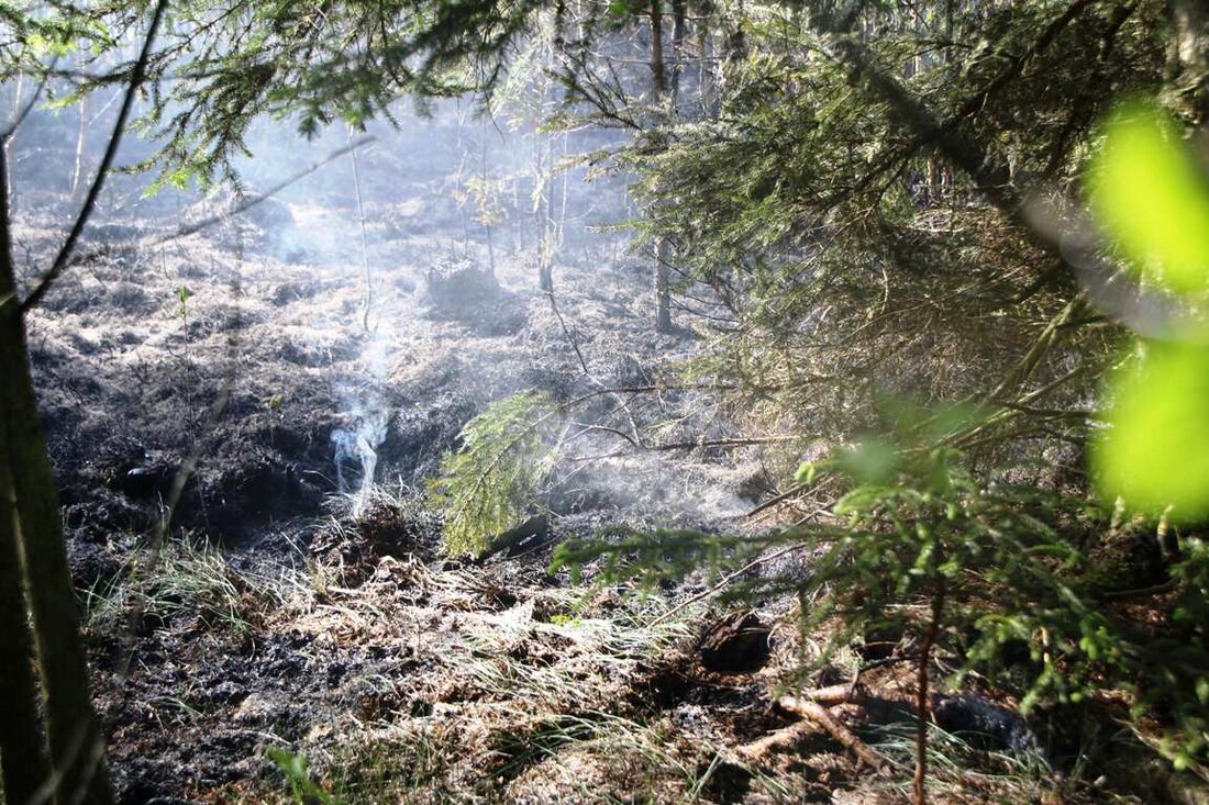 Erbendorf. In einem Waldstück am östlichen Ortsrand von Grötschenreuth hat es heute Nachmittag gebrannt. Auf einer Fläche von ungefähr 20 Quadratmetern brannte dort der Waldbodenbewuchs nieder. Das Feuer wurde von einem [&hellip;]