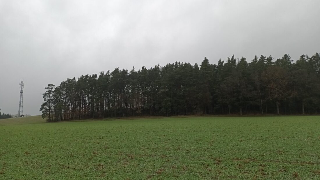 Trabitz. Ein einheitlicher Grundsteuerhebesatz von 220% wurde einstimmig beschlossen, um die Einnahmen stabil zu halten und zugleich die Bürger nicht stärker zu belasten.