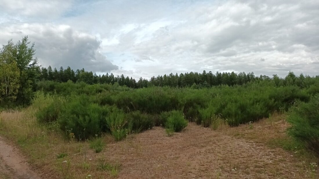 Pressath. Das Planungsverfahren für die Freiflächen-Photovoltaikanlage im Bürgerwald zwischen Pressath und Grafenwöhr geht in die nächste Runde: Einstimmig billigte der Stadtrat die aktualisierte Fassung des vorhabenbezogenen Bebauungsplans und der 14. Änderung des Flächennutzungsplans auf der Basis der Stellungnahmen, die verschiedene Dienststellen und Verbände im Zuge der „frühzeitigen Beteiligung der Behörden und sonstigen Träger öffentlicher Belange“ abgegeben hatten. 