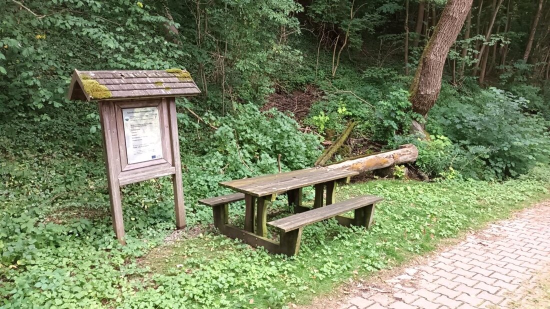 Pressath. Bürgermeister Bernhard Stangl präsentiert stolz ein umfassendes Sommerferienprogramm und 12 Ideen für den Bürgerhaushalt 2025 bleiben nach Auswahlprozess übrig.