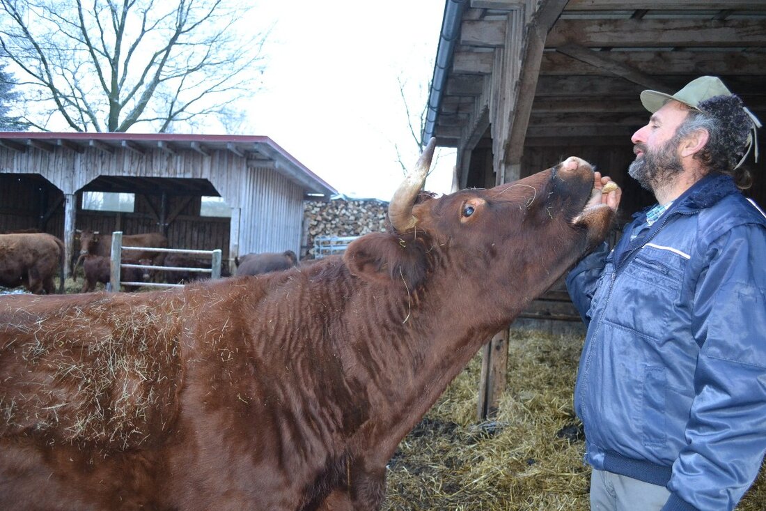 Erbendorf/Ebnath. Die Öko-Modellregion Steinwald gewann den Wettbewerb „e-Dorf“ und wird jetzt mit 2,5 Millionen Euro gefördert. Was die Modellregion ausmacht, zeigt das Beispiel des Biolandwirtsehepaars Carolin und Hermann Köstler aus [&hellip;]