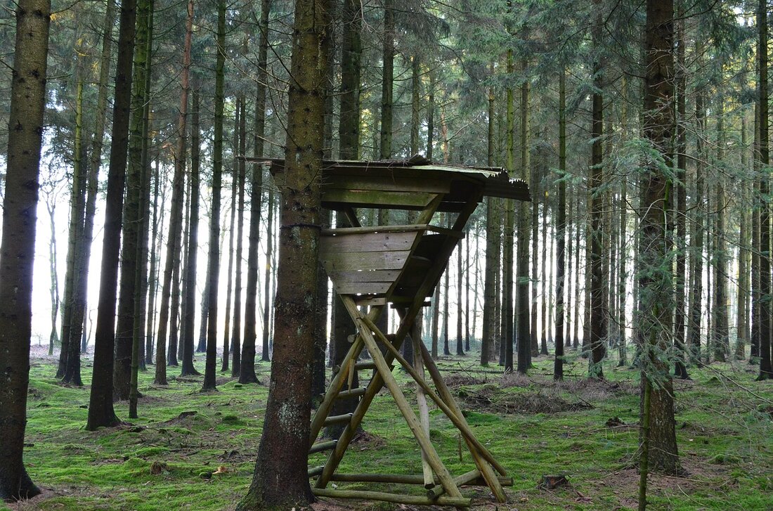Bechtsrieth. Die Täter montierten eine Jagdkanzel in Bechtsrieth ab und versenkten diese in einem angrenzenden Bach. Normalerweise steht die Jagdkanzel auf dem Gemeindegrund nahe der Plattenwiese, in Bechtsrieth, Muckenthal in Richtung Unterhöll. Doch [&hellip;]