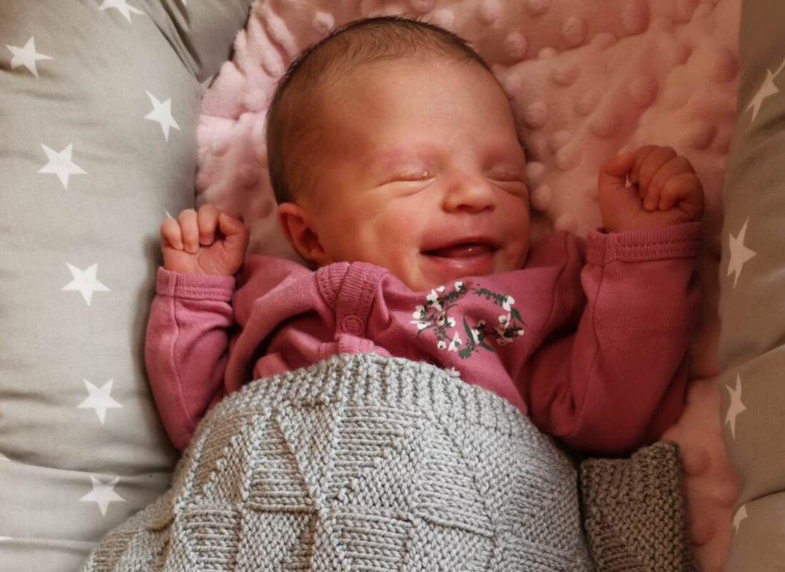 Nordoberpfalz. Zuckerstücke im Überblick: So süß ist der Nachwuchs aus der Nordoberpfalz! 