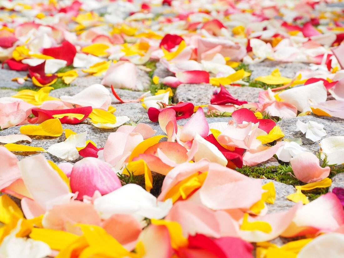 Weiden. Besonders in der heutigen Zeit braucht die Welt mehr Toleranz und Nächstenliebe. Passend dazu gibt es am Tag gegen Rassismus am 21. März in der Weidener Innenstadt eine Blumen-Aktion.  Tagtäglich werden [&hellip;]