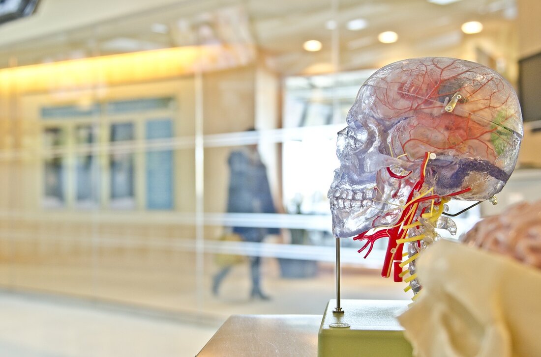 Weiden/Amberg. Das Klinikum St. Marien Amberg und die Kliniken Nordoberpfalz AG bekommen nicht nur einen neuen Neurochirurg, sondern wollen auch die Zusammenarbeit untereinander weiter ausbauen. Damit sollen Patienten ab sofort [&hellip;]