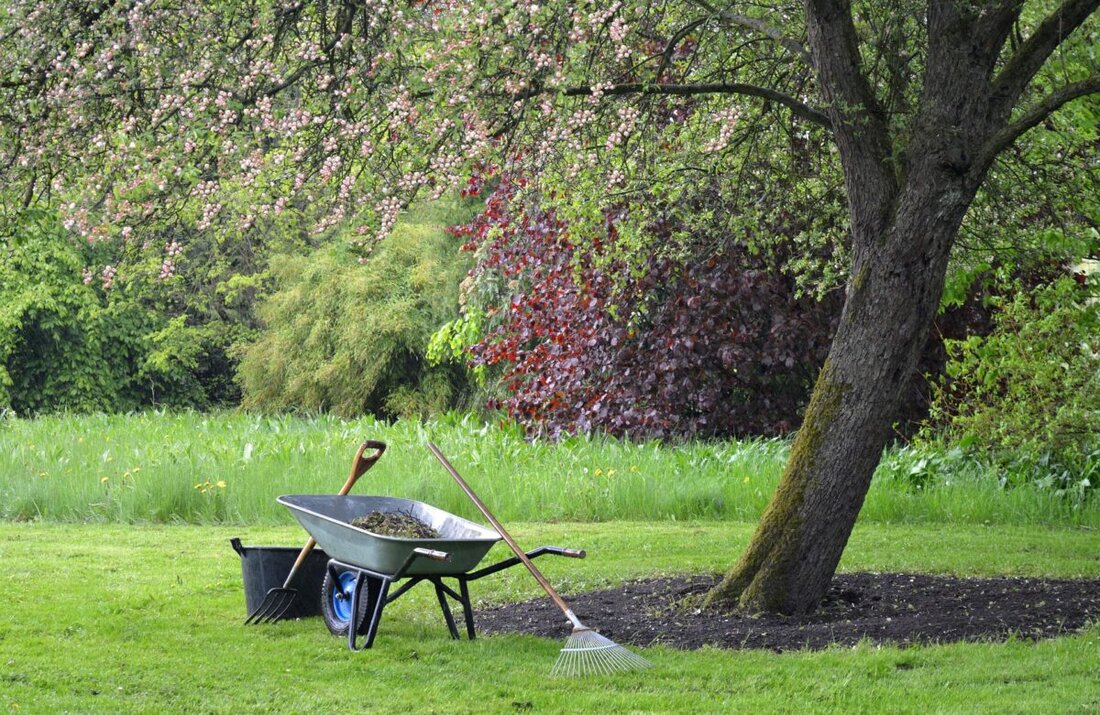 Tirschenreuth. Der Kreisverband für Gartenbau und Landespflege Tirschenreuth bietet vom 29. Januar bis 26. Februar 2025 einen Gartenpflege-Grundkurs an. Der Kurs kostet 60 Euro und zielt darauf ab, Teilnehmenden grundlegende Fähigkeiten in Gartenanlage und -pflege zu vermitteln.
