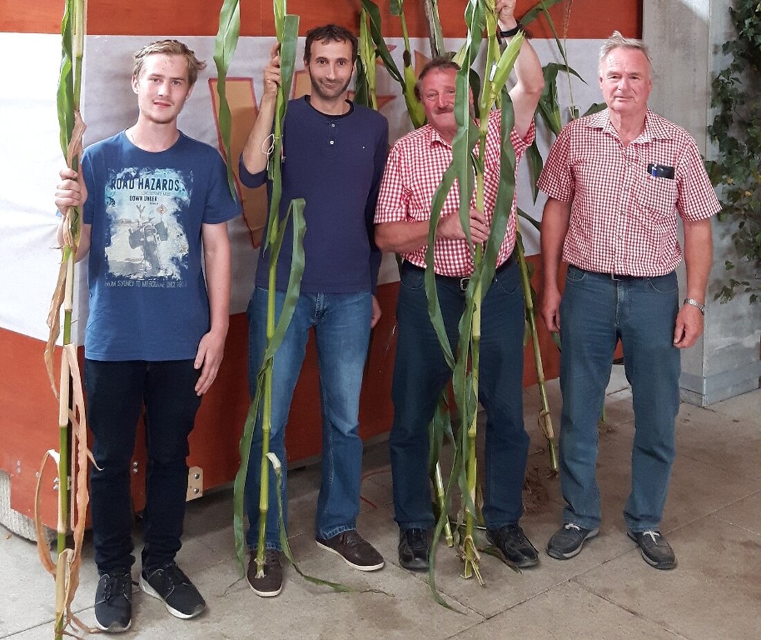 Wurz. Über vier Meter Länge konnten dieses Jahr die längsten Maispflanzen bei der traditionellen Prämierung anlässlich des Wurzer O’Schnitts aufweisen. Mit einer Länge von 3,95 Meter holte sich Georg Fütterer [&hellip;]